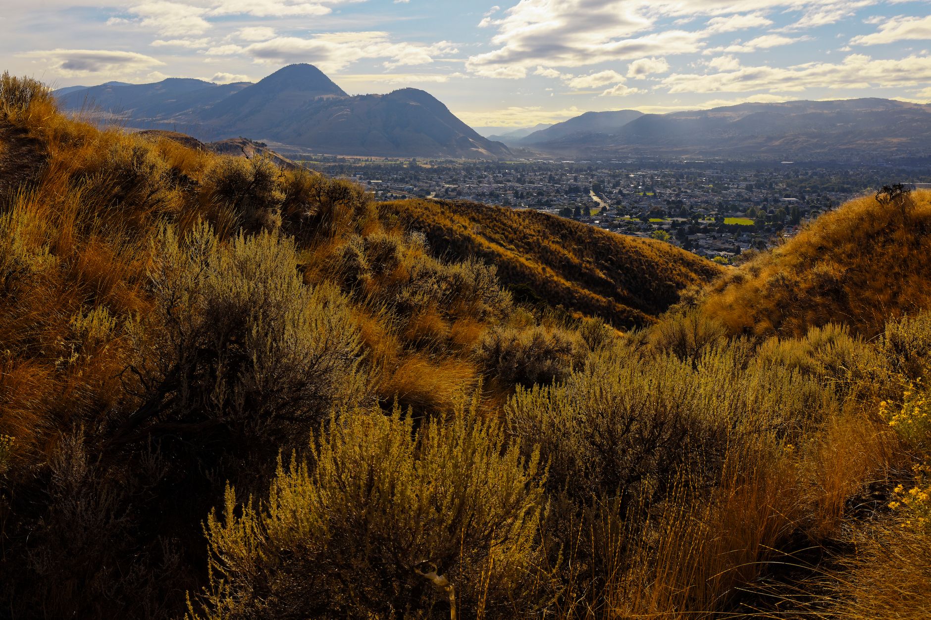 Breathtaking view of mountains and valley during sunset with golden vegetation.