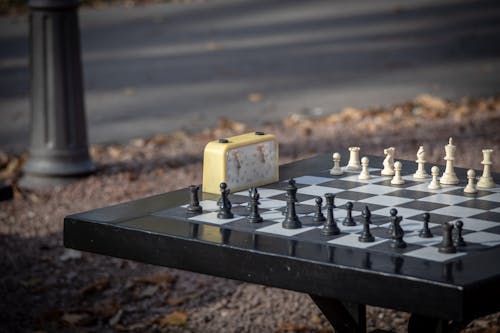 Chess Pieces on the Board