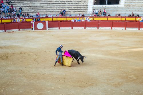 Free Dynamic bullfight scene at a vibrant Alicante arena showcasing Spanish cultural traditions. Stock Photo