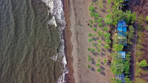 Free Drone shot capturing Teluknaga Beach's shoreline and foliage. Perfect for travel and nature themes. Stock Photo