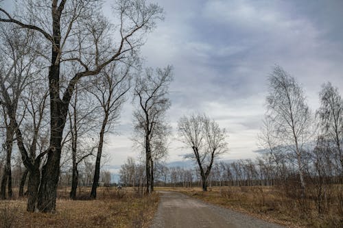 Ilmainen kuvapankkikuva tunnisteilla hiekkatie, maaseutu, pilvinen taivas