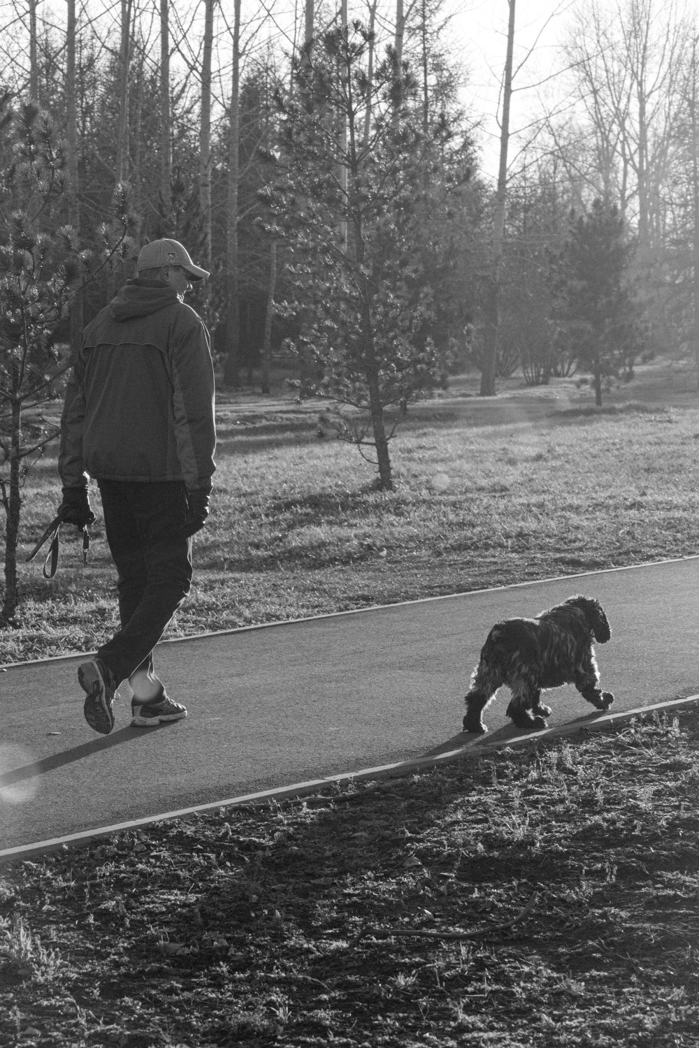 Man walking his dog on a shaded path in a serene park setting