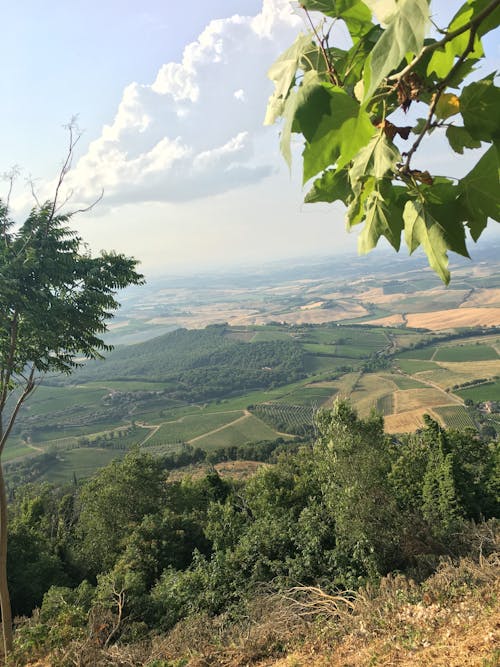 Free stock photo of toscana