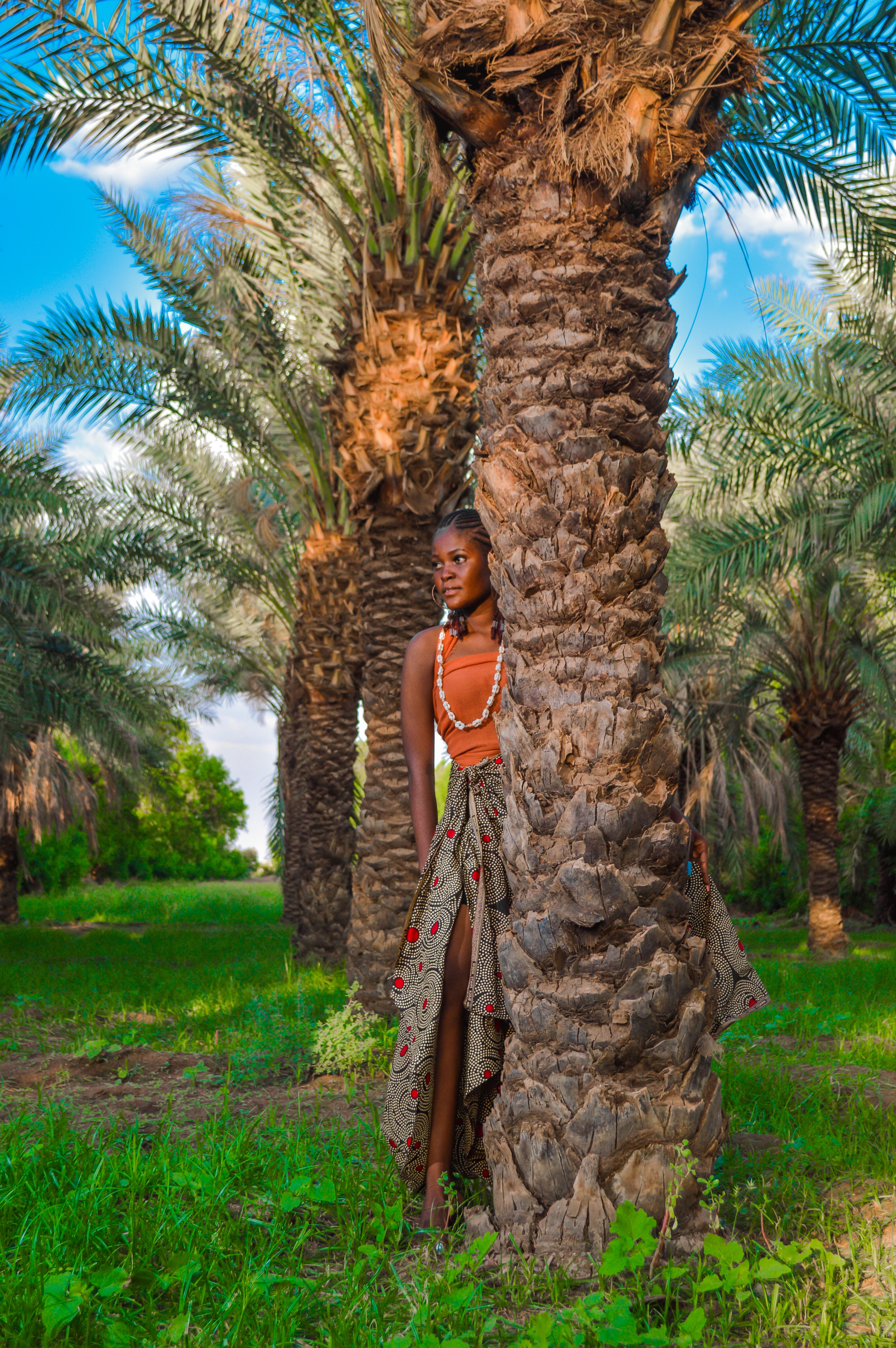 A Woman Standing Beside the Palm Tree · Free Stock Photo