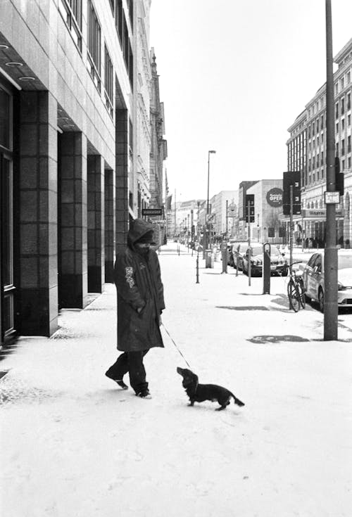 Person Standing on Snow Covered Sidewalk with a Dog