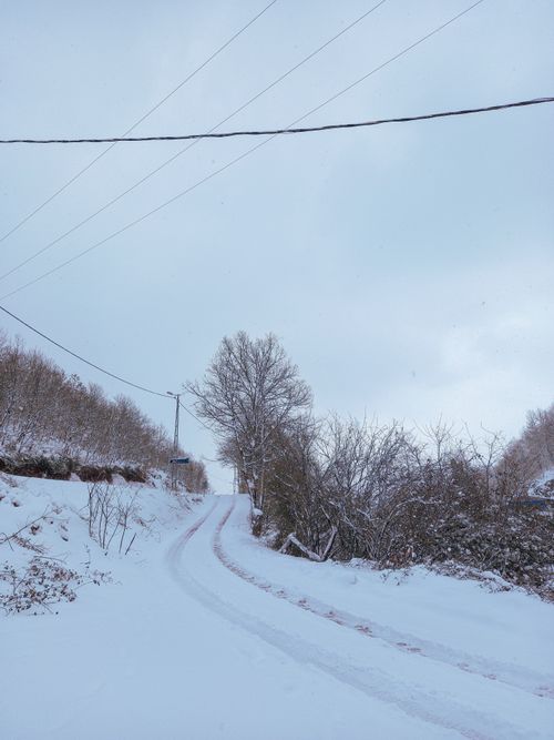 Free Serene winter landscape with a snowy pathway and bare trees under a cloudy sky. Stock Photo