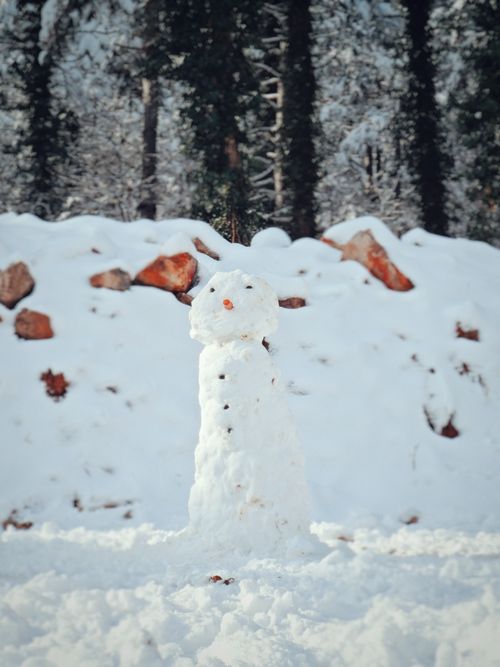 Free A snowman stands in a snow-covered forest, capturing the essence of a tranquil winter day. Stock Photo