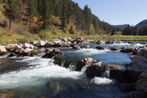 Free Beautiful mountain river cascading through rocks with autumnal forest backdrop. Stock Photo