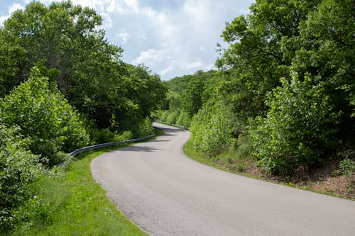 Narrow Road in Countryside
