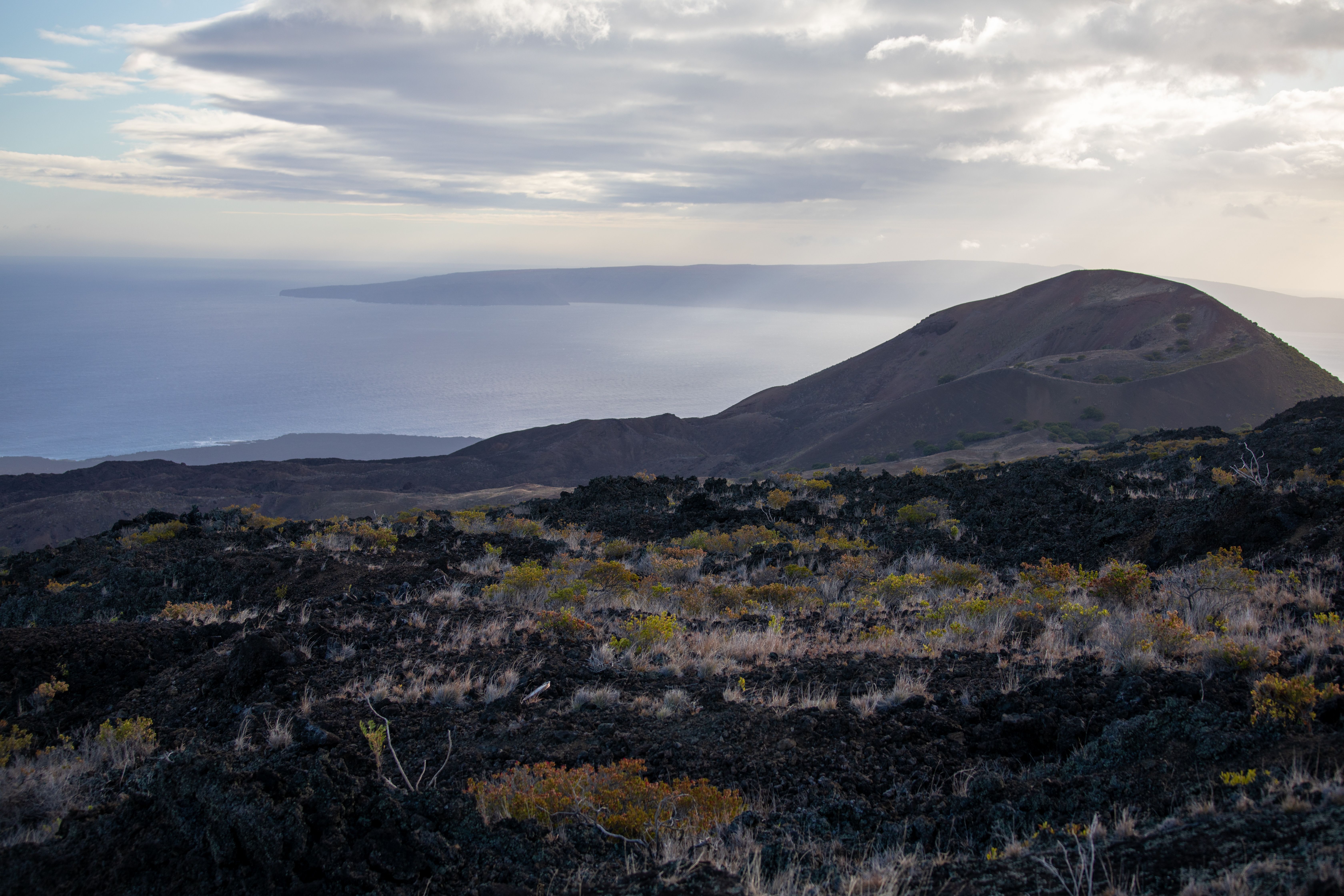 Hummock Hill Lookout