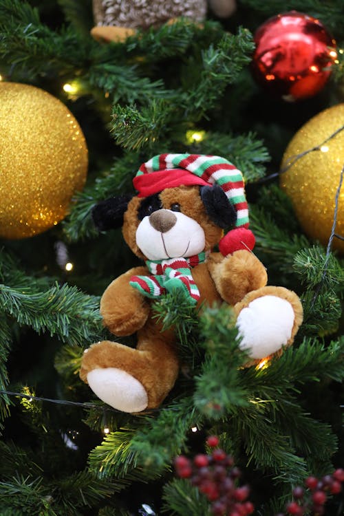 Photo of Plush Toy Hanging on a Christmas Tree