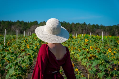 Free Woman in Red Dress Wearing Straw Hat Standing in a Sunflower Field Stock Photo