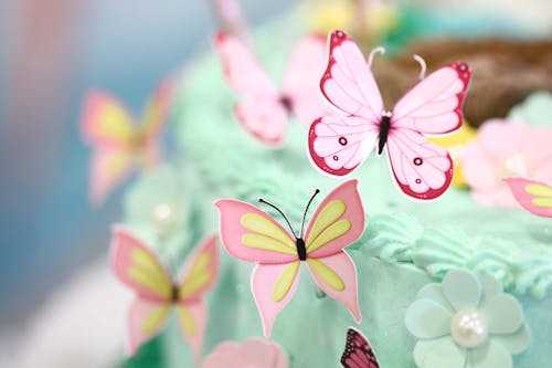 Butterfly Cake Decorations
