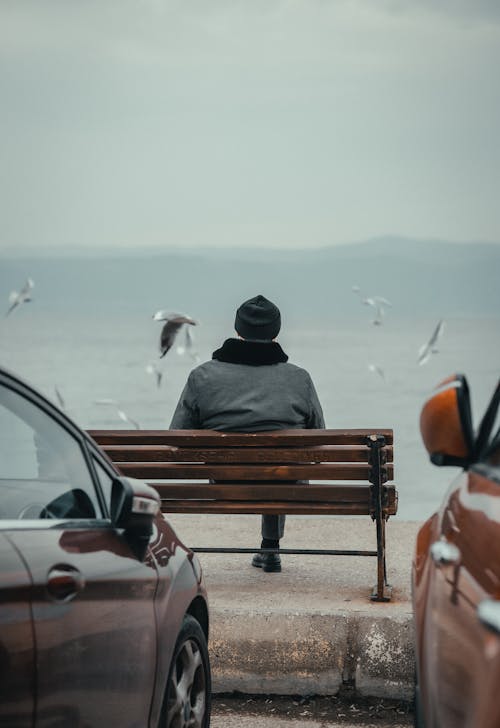 Back View Photo of Person sitting on a Wooden Bench