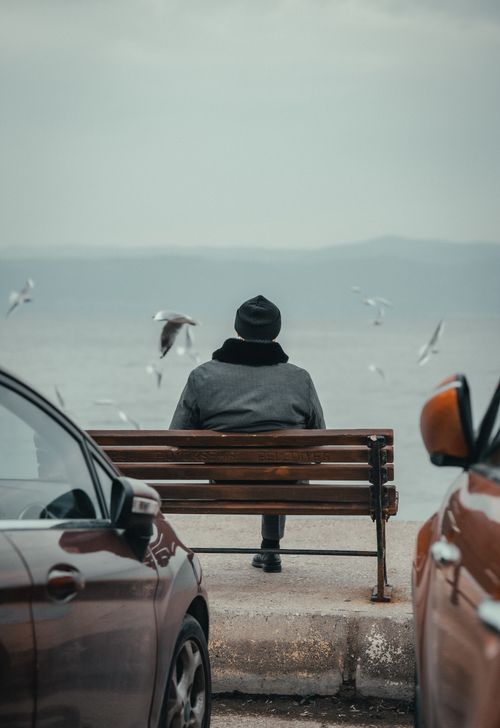 Free Person seated on bench gazing at the ocean framed by parked cars and seagulls. Stock Photo