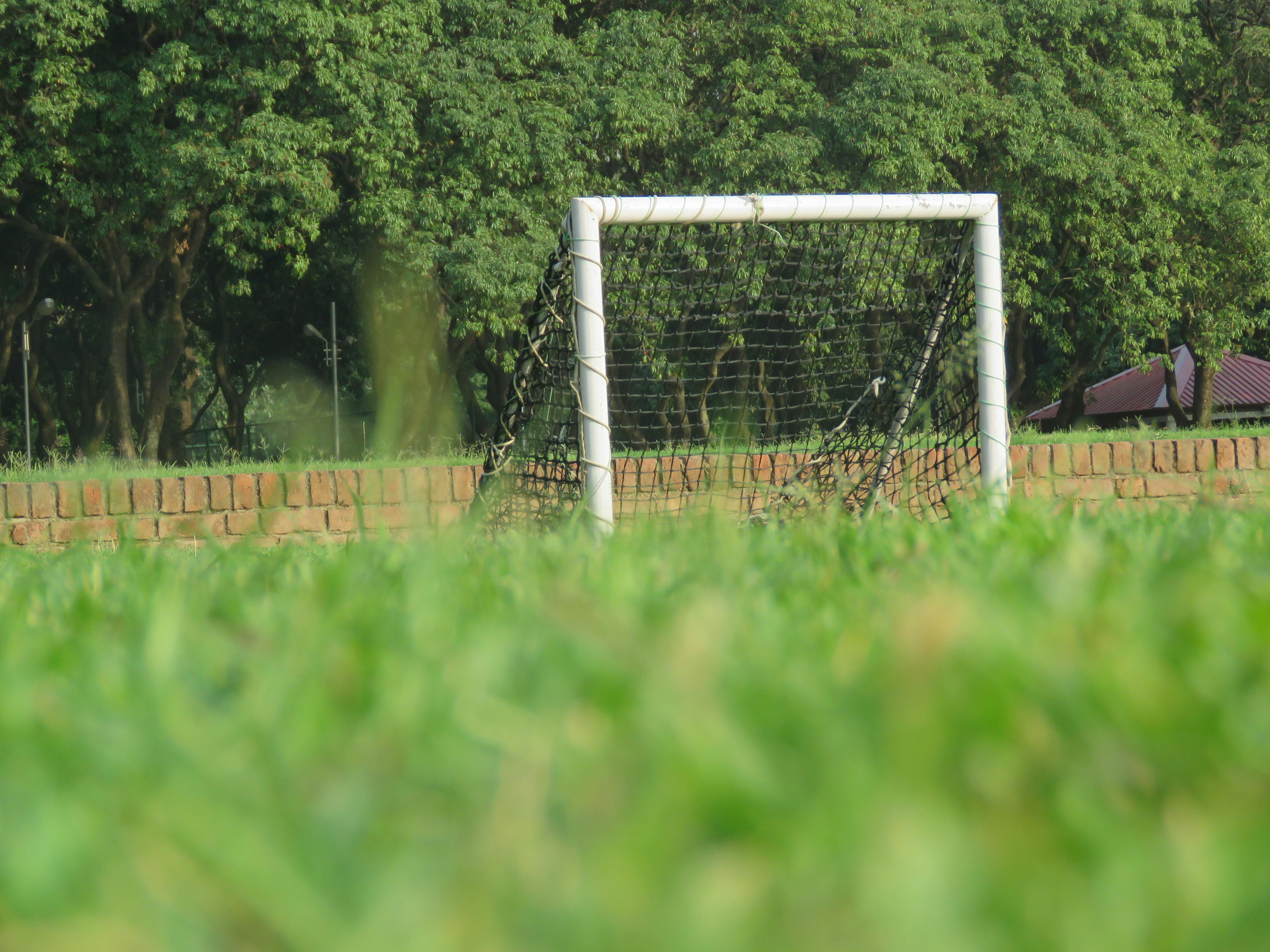 Free stock photo of goal post, grass, mini goal post