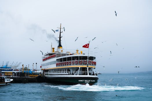 A ferry with a Turkish flag docking at Istanbul harbor surrounded by seagulls.