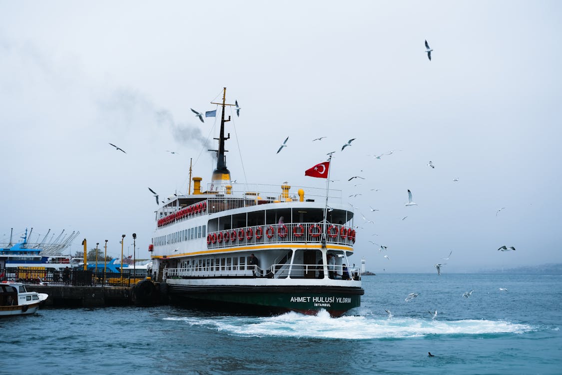 Seabirds Flying Near a Ferry Boat in the Harbor