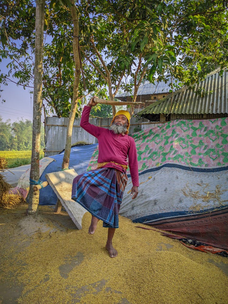 A Farmer Threshing Rice