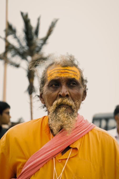 Elderly Bearded Guru with Yellow Powder on Forehead