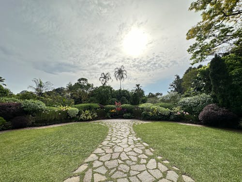 Foto profissional grátis de fotos do iphone 14, jardins botânicos de singapura