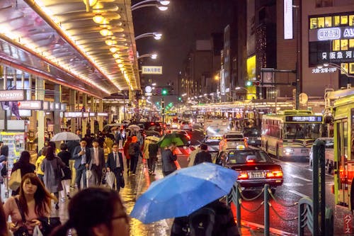 Free stock photo of after the rain, busy, busy street