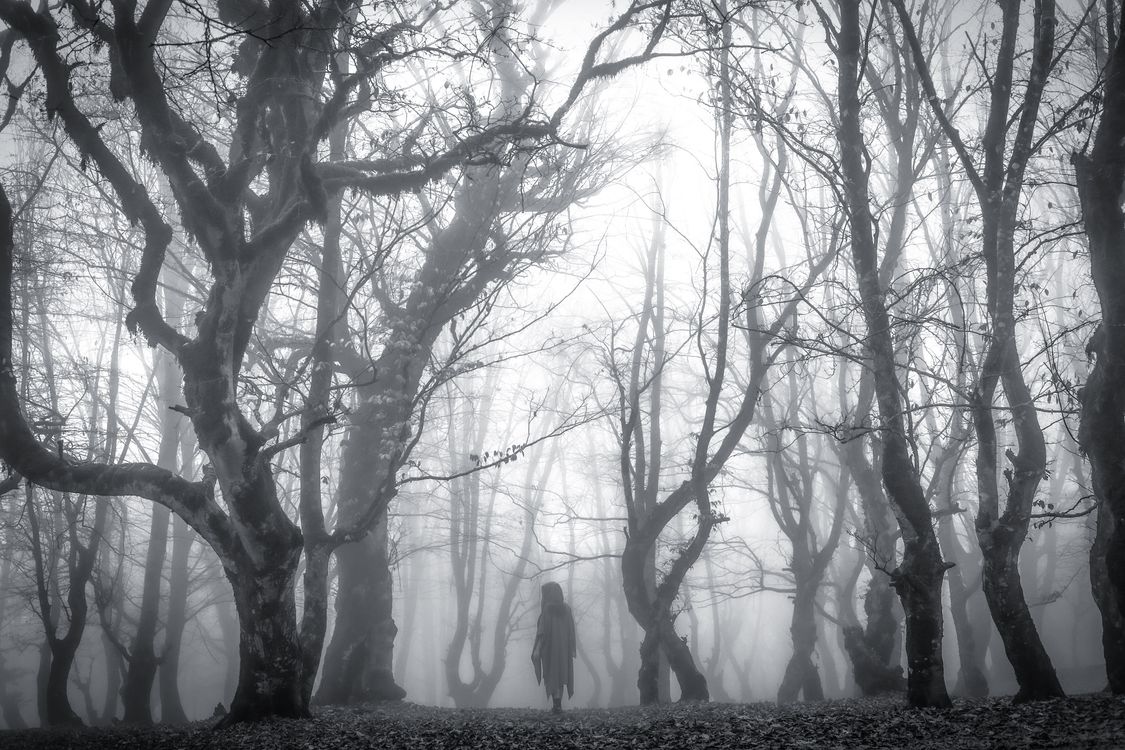 Person in a Gown Walking in a Foggy Forest · Free Stock Photo