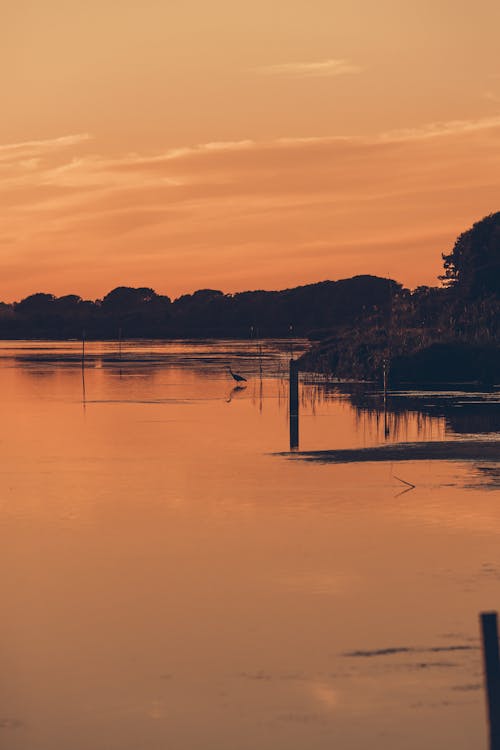 Kostenloses Stock Foto zu dramatischer himmel, draußen, goldene stunde