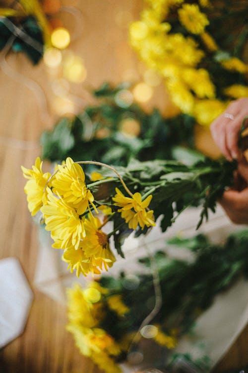 Foto stok gratis banyak, berkembang, bunga kuning