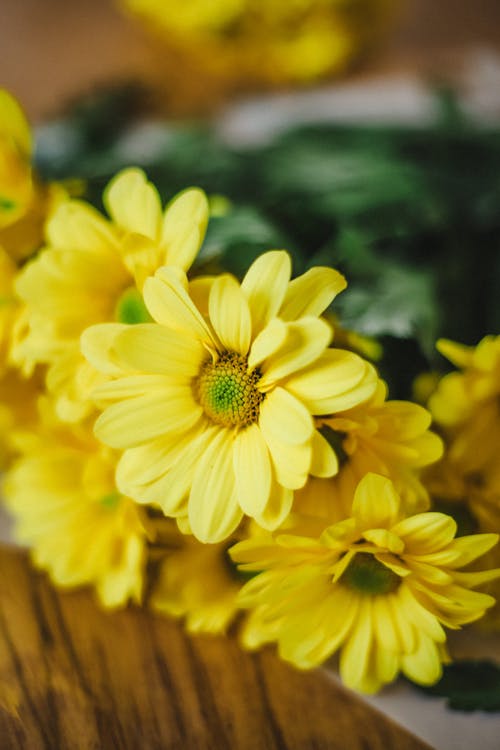 Бесплатное стоковое фото с вертикальный выстрел, желтые цветы, крупный план