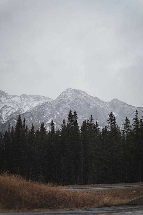 冬, 垂直ショット, 岩山の無料の写真素材