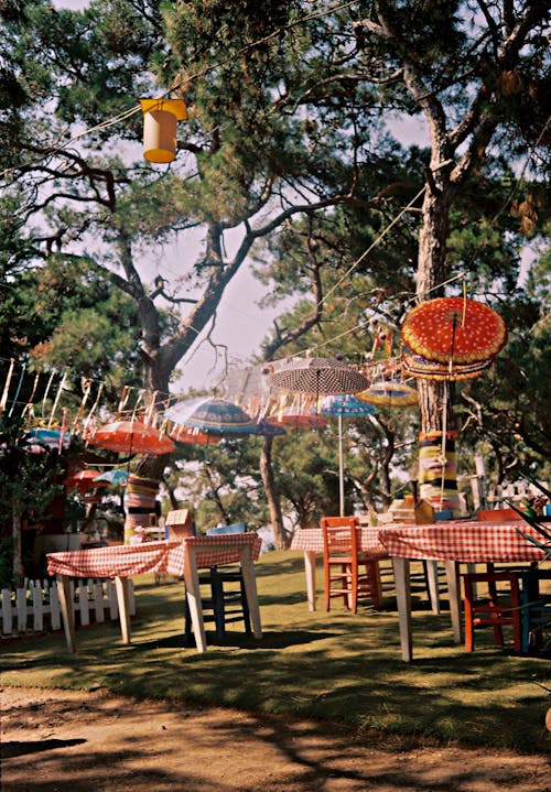 View of Tables and Chairs Standing in a Garden with Colorful Umbrellas Hanging between the Trees