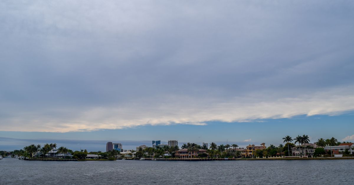 A tranquil coastal scene with tropical waterfront houses and palm trees under a cloudy sky.