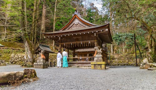 Free stock photo of culture, forest, japan