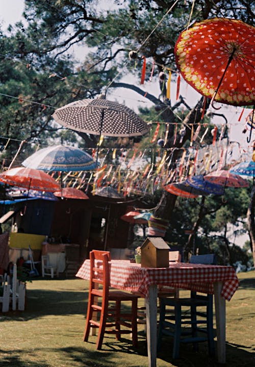 Colorful Umbrellas Hanging over the Tables and Chairs in a Garden 
