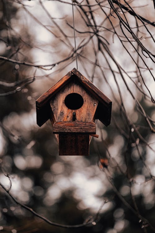 Close-up of a Bird House