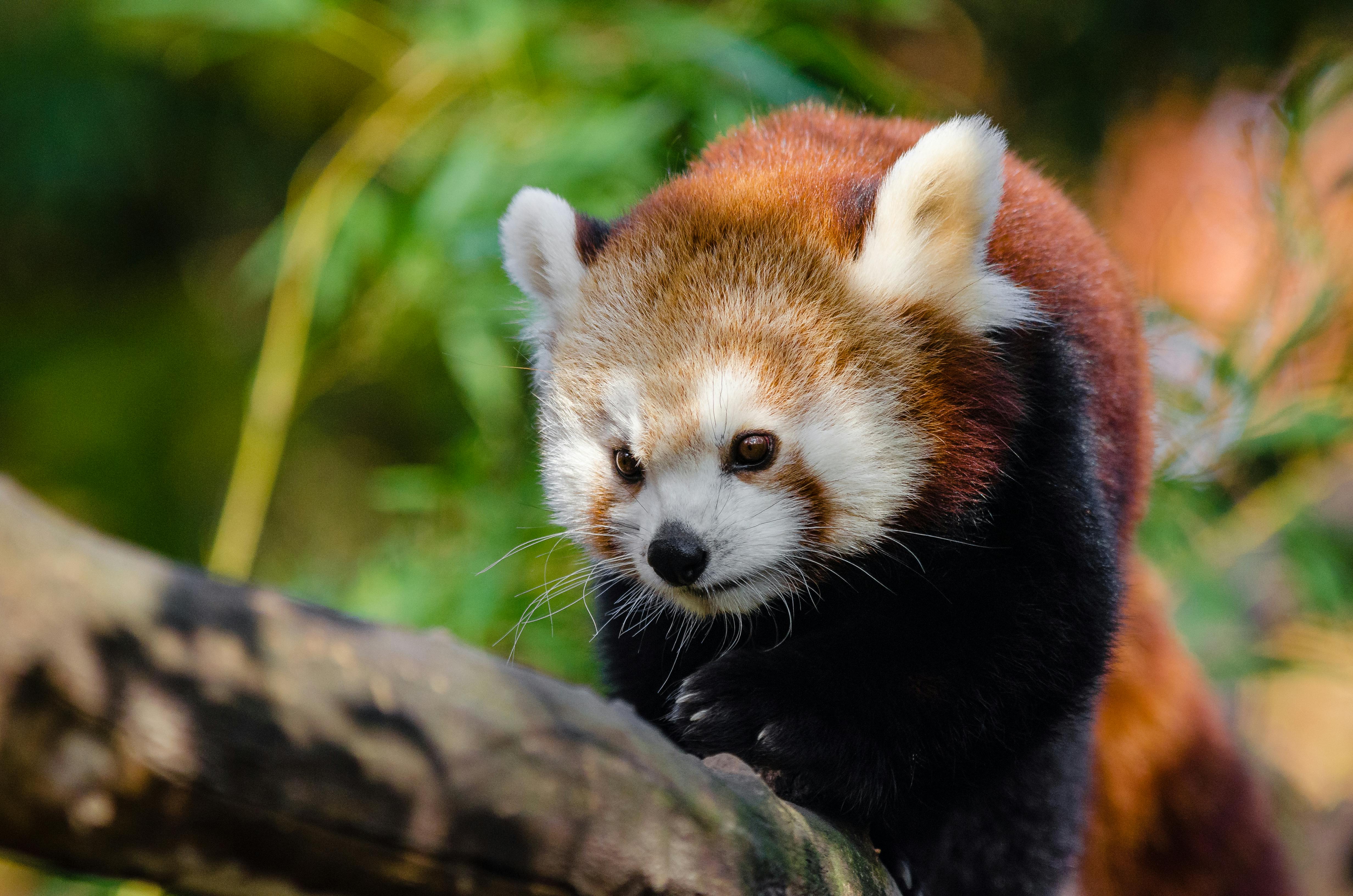 상가 거리 모습