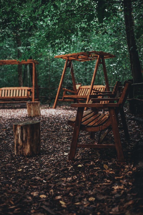 Wooden Benches and Swings in the Park