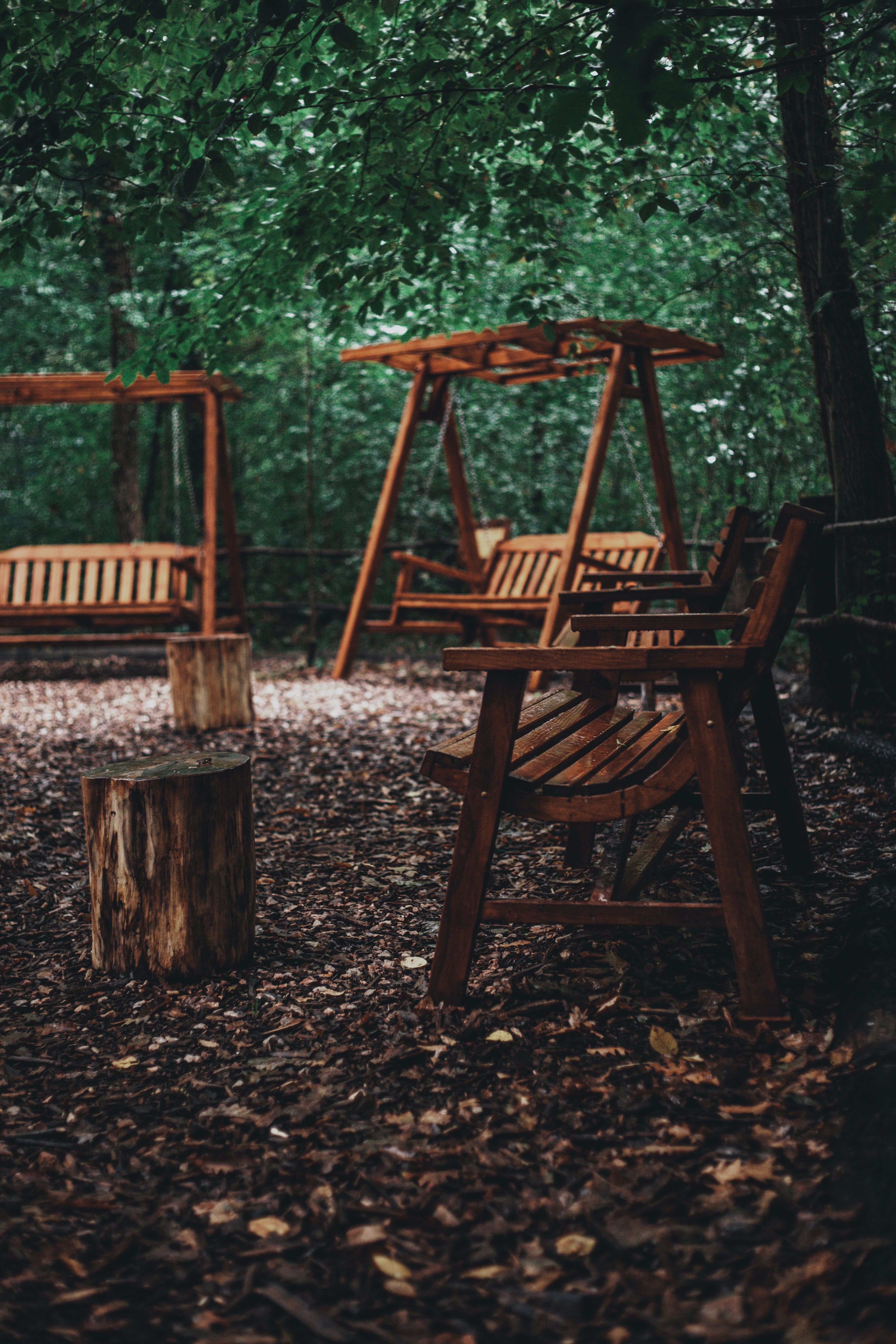 Wooden Benches and Swings in the Park · Free Stock Photo