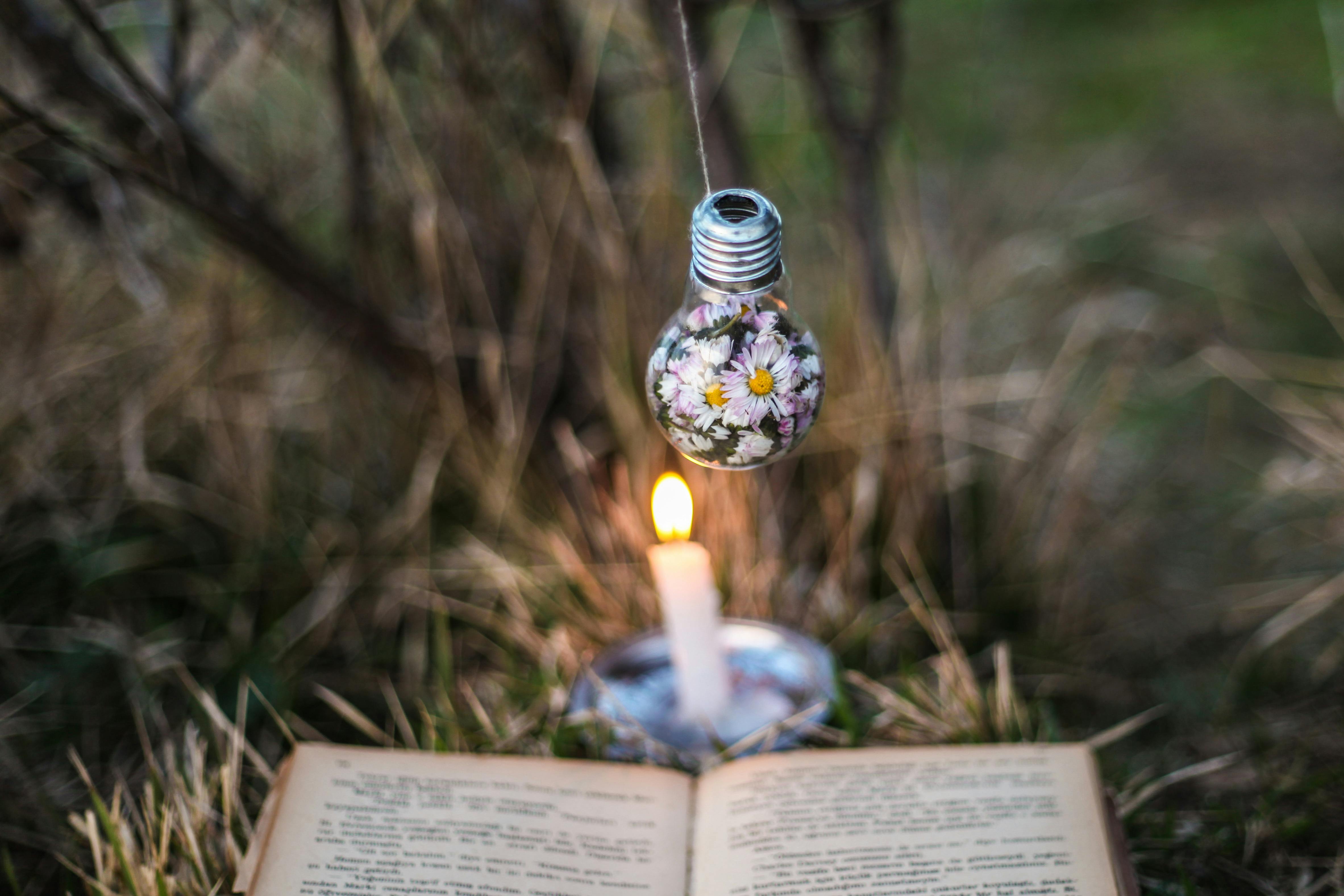 Nature Wallpaper Cute Miniature Dp