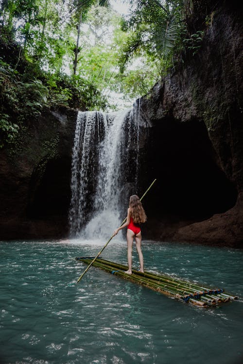 Fotos de stock gratuitas de balsa, bosque, cascada