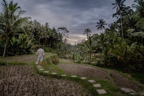 Tourist Walking among Fields on Exotic Island