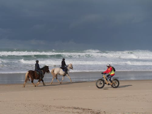 People Riding Horses and a Bike at a Beach