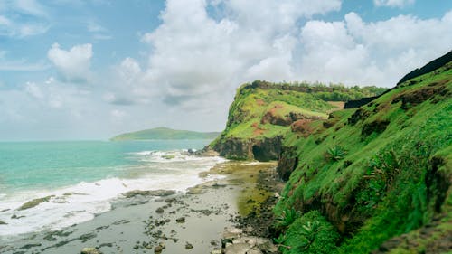 Grass Growing at Seashore 