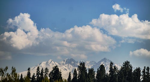 克什米尔, 布朗山, 景觀 的 免费素材图片