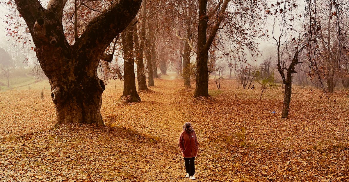 Woman Walking on Colorful Footpath at Park in Autumn · Free Stock Photo
