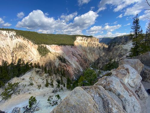 Free Breathtaking view of Yellowstone Canyon with striking rock formations and lush forest. Stock Photo