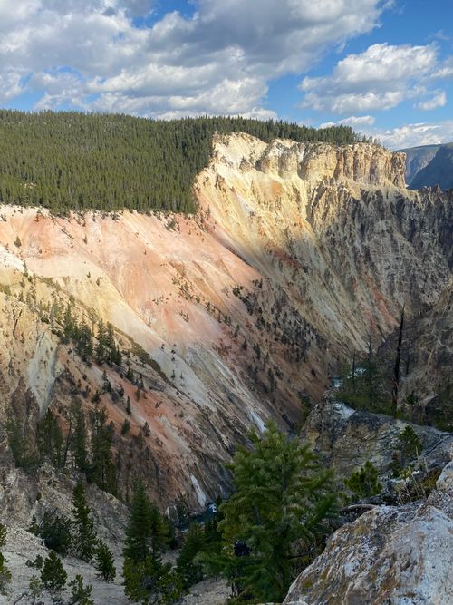Free Breathtaking view of colorful canyon walls in Yellowstone with lush forested top and blue sky. Stock Photo