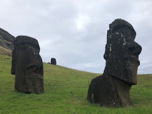 Moai Human Figures Statues on Green Grass Field