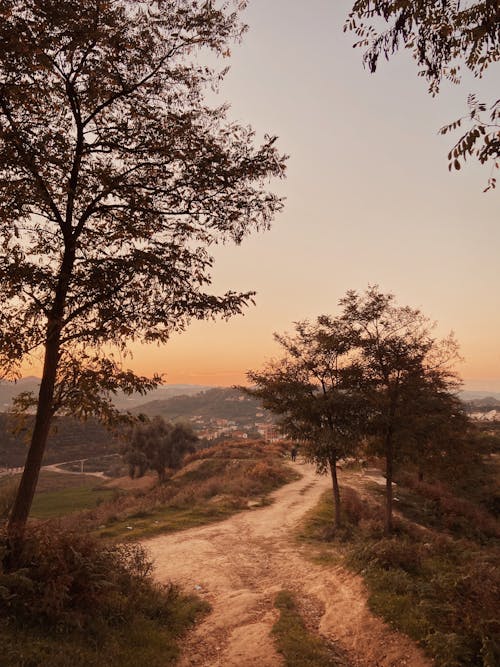 Gratis stockfoto met bomen, landelijk, natuur